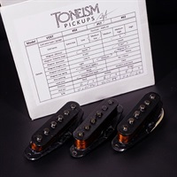 VOST #57 Alnico5 SET