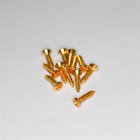 Fender Type PGネジ ゴールド インチサイズ(12個セット)