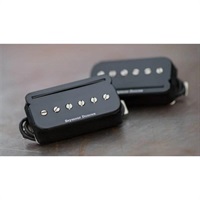 SHPR-1n BLK P-Rails