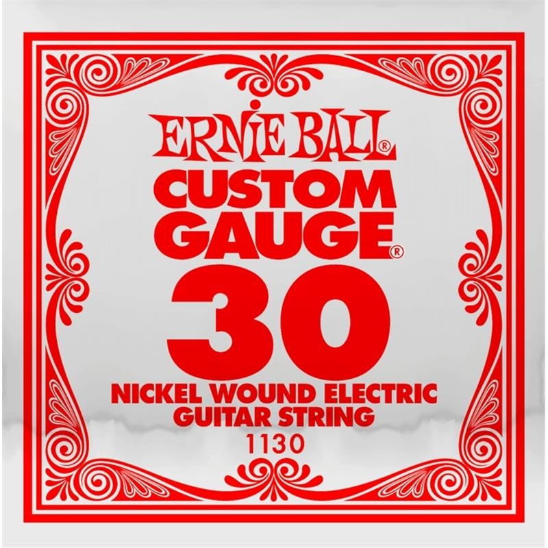 ERNIE BALL 【創業50周年大決算SALE】 ｹﾞｰｼﾞｹﾞﾝ 1130 030