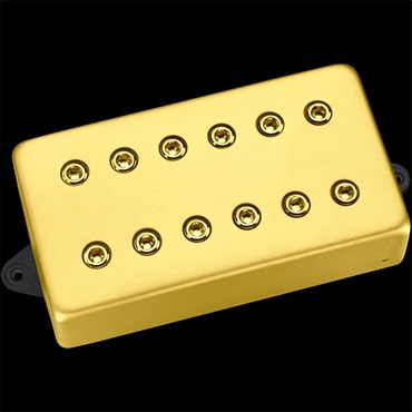 DiMarzio 【創業50周年大決算SALE】 DP258F-SG ﾃﾞｨﾏｼﾞｵPU ﾀｲﾀﾝ ﾈｯｸ F H　[Fスペース]