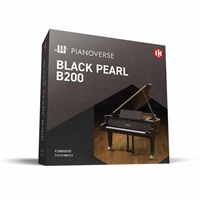 【IK Multimedia 春セール！】Pianoverse Black Pearl B200 (アイケーマルチメディア)(ピアノバース)(オンライン納品)