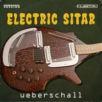 ELECTRIC SITAR(オンライン納品)(2時間以内に納品)