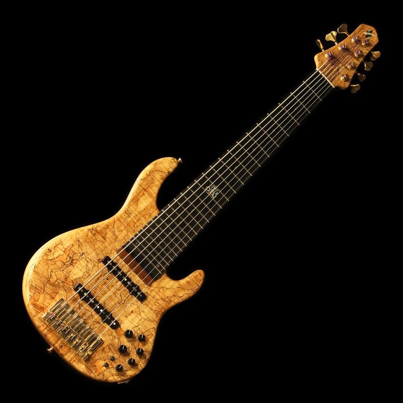 STR GUITARS 【USED】 LS748 (Spalted Flame Maple Top & Back