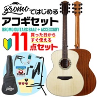 【初心者・入門11点セット】 BAA2 ブロモ