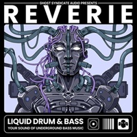 【ループマスターズサンプルパックが約40%OFF！】REVERIE - LIQUID DRUM & BASS(オンライン納品)(2時間以内に納品)
