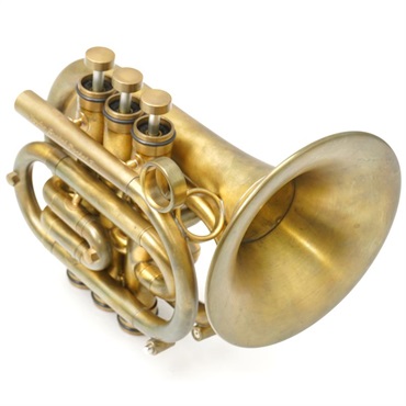 Taylor(管) USED 中古  テイラー / Pocket Rocket Pro NL 【Bb ポケット トランペット】【調整後出荷】