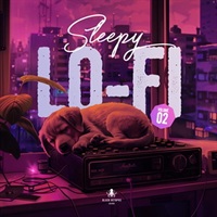 SLEEPY LO-FI VOL 2(オンライン納品)(2時間以内に納品)