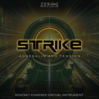 STRIKE(オンライン納品)(2時間以内に納品)