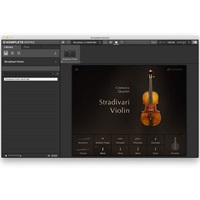 【Summer of Sound 2025】Stradivari Violin(オンライン納品)(2時間以内に納品)