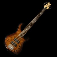 【USED】 Grainger 5string Bass (Black Gold Wrap Burst) ’23