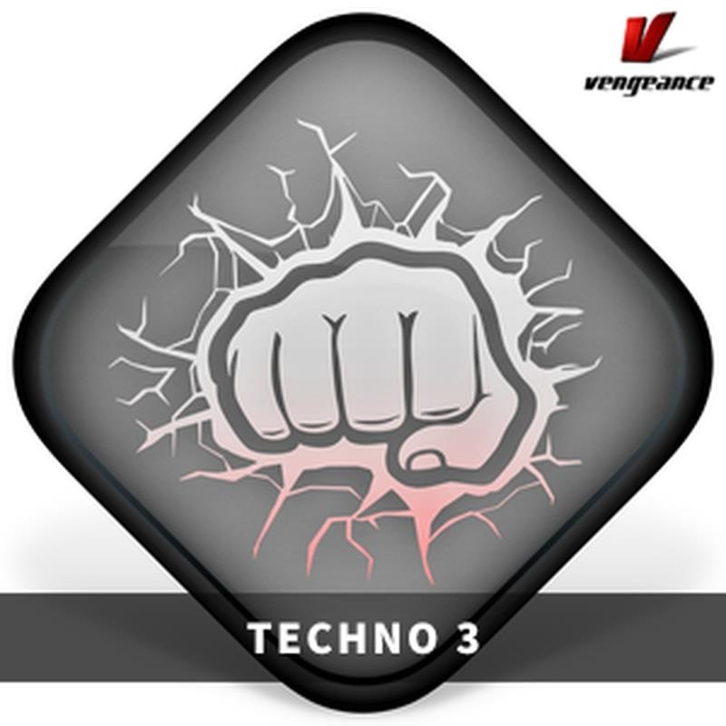Vengeance Sound 【ベンジェンスサウンドXmas Sale！】TECHNO 3(オンライン納品)(2時間以内に納品)