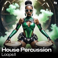 【ループマスターズサンプルパックが約40%OFF！】ELEMENTS - HOUSE PERCUSSION LOOPS 2(オンライン納品)(2時間以内に納品)