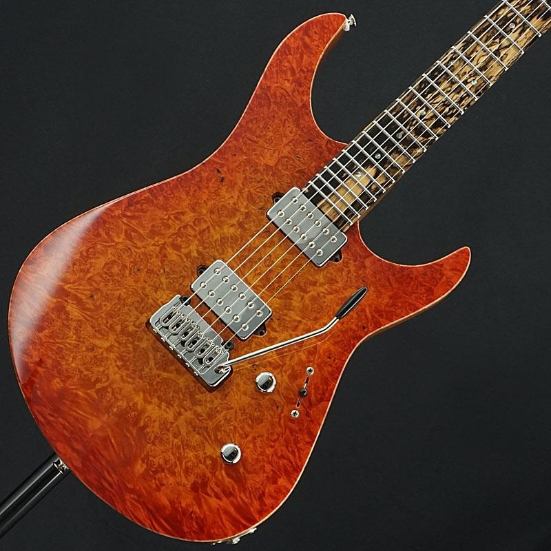 unknown USED 中古 Koca Guitars Light， 6 String (Burl Maple Top / Pale Moon Ebony / Birds Eye Maple Neck )