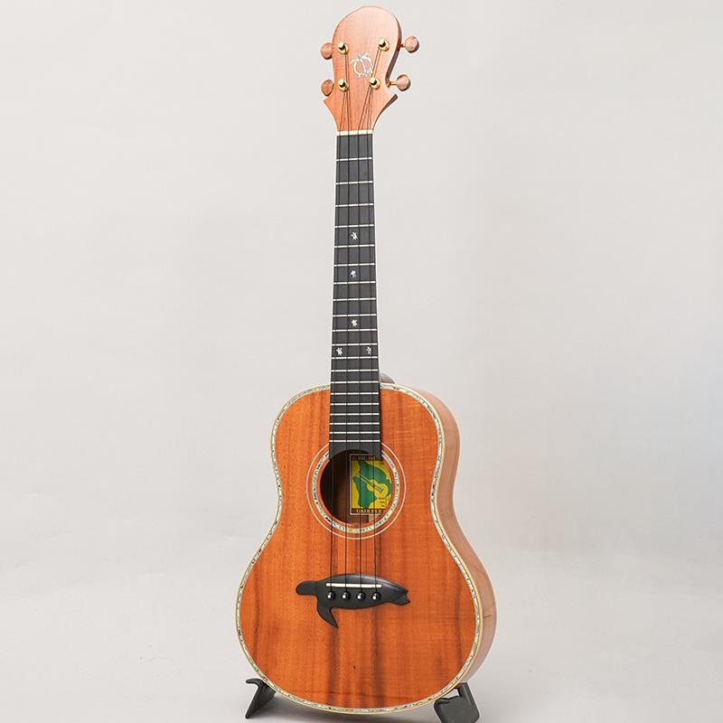 BIG ISLAND USED 中古 KX-TRG ビッグアイランド