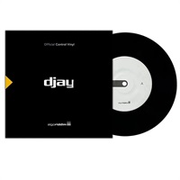 Algoriddim × stokyo / djay Control Vinyl 7 Black (DJAY7-001)