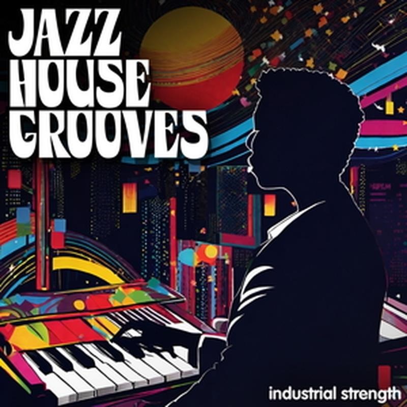 INDUSTRIAL STRENGTH JAZZ HOUSE GROOVES(オンライン納品)(2時間以内に納品)