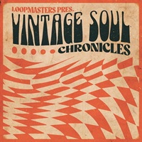 【ループマスターズサンプルパックが約40%OFF！】VINTAGE SOUL CHRONICLES(オンライン納品)(2時間以内に納品)