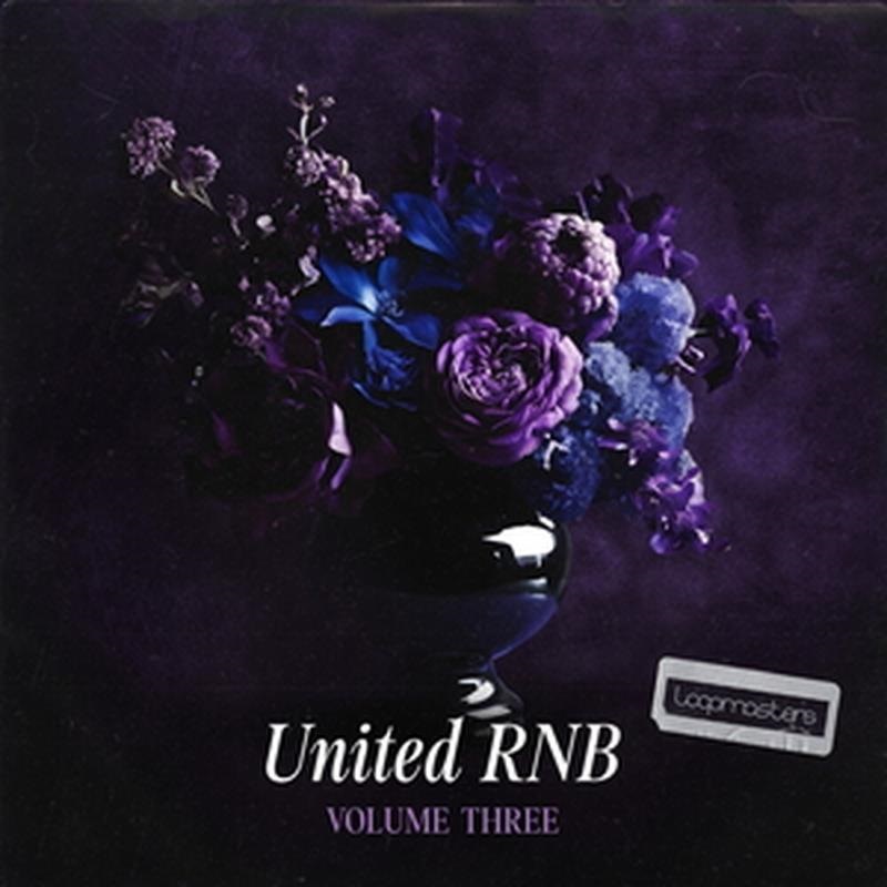 LOOPMASTERS 【厳選サンプルパック・シンセプリセットが約40%OFF！】UNITED RNB VOL 3(オンライン納品)(2時間以内に納品)