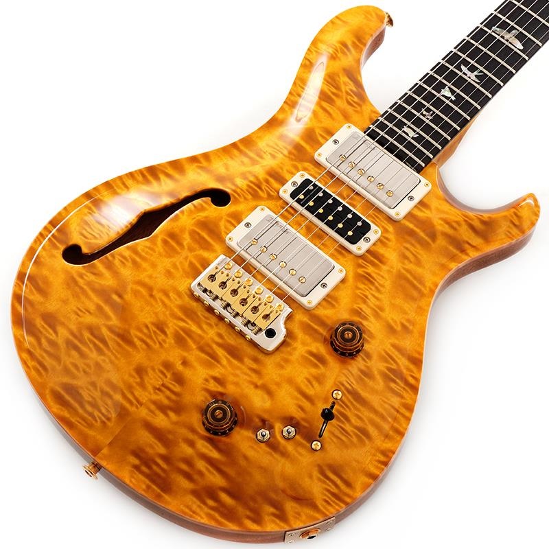 Ikebe 50th Anniversary Wood Library Special Semi-Hollow (Honey Gold) SN.0402027の商品画像