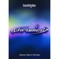 【Beatmaker 3 Intro Sale！】Beatmaker CHROMED(オンライン納品)(2時間以内に納品)