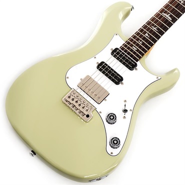 P.R.S. SE Studio Standard (Sage Green)