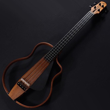 Ovation Celebrity】オベーション セレブリティ『E