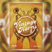VINTAGE HORNS 3(オンライン納品)(2時間以内に納品)
