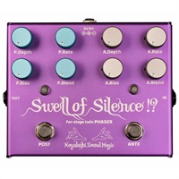 Swell of Silence !?