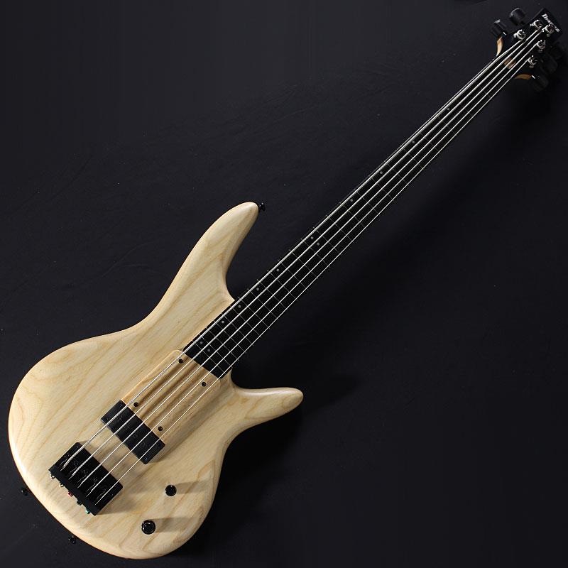 GWB1005-NTF [Gary Willis Signature Model]の商品画像