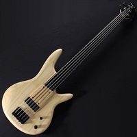 GWB1005-NTF [Gary Willis Signature Model]