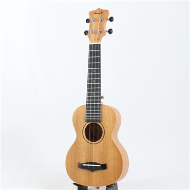 USED 中古 ENYA EUS-25D エンヤ