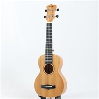 USED 中古 ENYA EUS-25D エンヤ