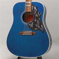 【特価】【創業50周年大決算SALE】 Miranda Lambert Bluebird （傷アリ大特価） ギブソン
