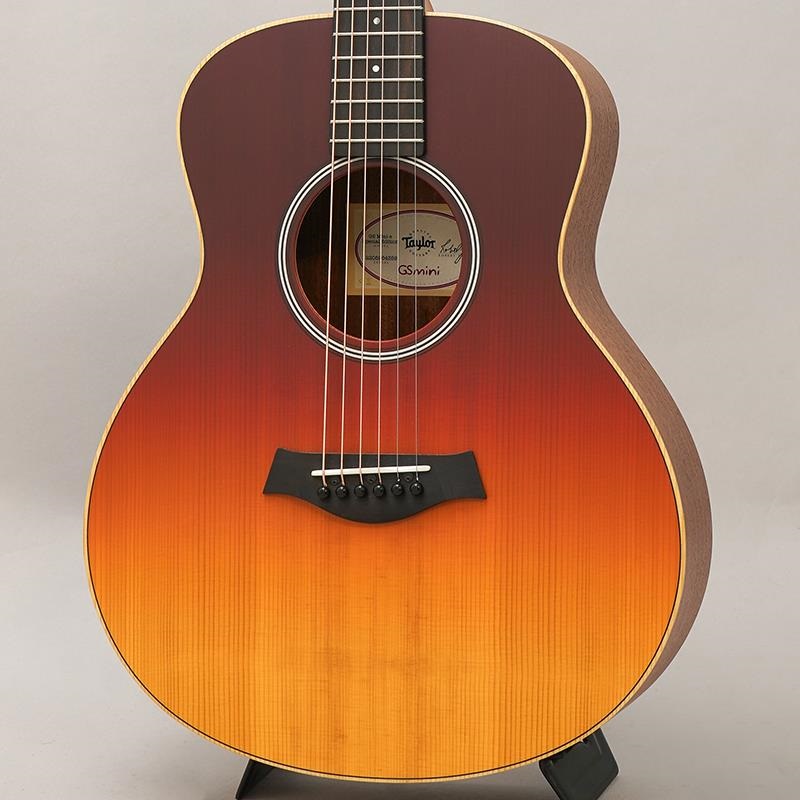 Taylor 110 SB 【返品OK】[QL682]【神戸店在庫】 - 中古楽器の
