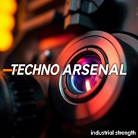 TECHNO ARSENAL(オンライン納品)(2時間以内に納品)