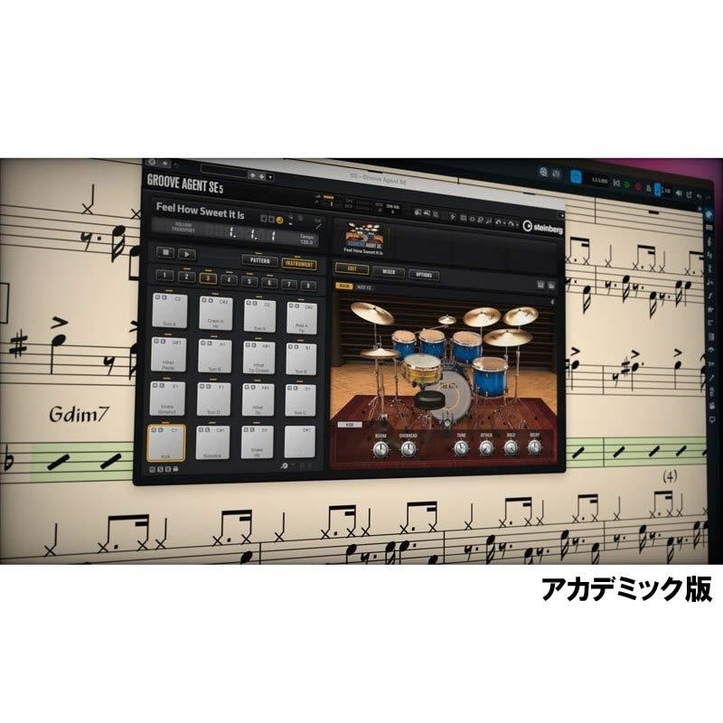 Steinberg Dorico Elements Education (アカデミック版)(スタインバーグ)(ドリコ)(譜面作成ソフト)(オンライン納品)