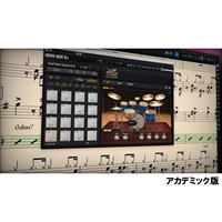 Dorico Elements Education (アカデミック版)(スタインバーグ)(ドリコ)(譜面作成ソフト)(オンライン納品)