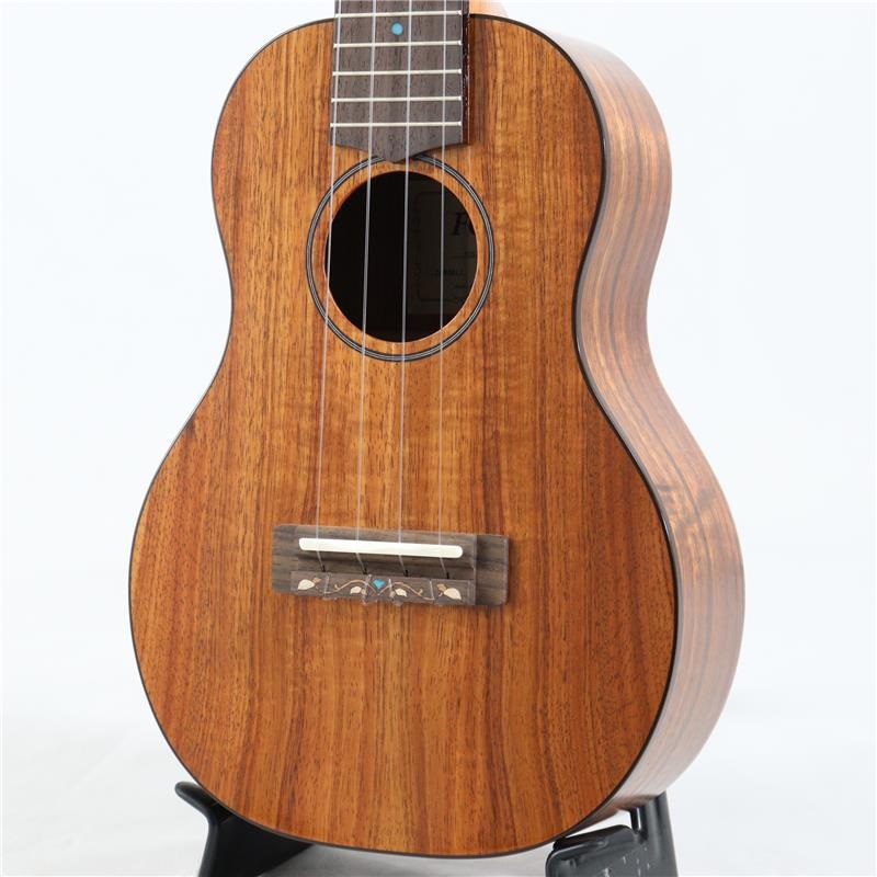 YAMAHA 【店頭キズ特価】 FUS-TC フジゲン