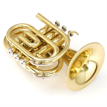 Bach USED 中古 バック / Elkhart 100PKT #12010**6 【Bb ポケット トランペット】【調整後出荷】