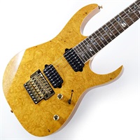 Ikebe 50th Anniversary j.custom IKRG85271 (Burl Maple Top) SN.2506462