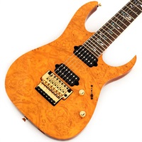 Ikebe 50th Anniversary j.custom IKRG85271 (Burl Maple Top) SN.F2506458
