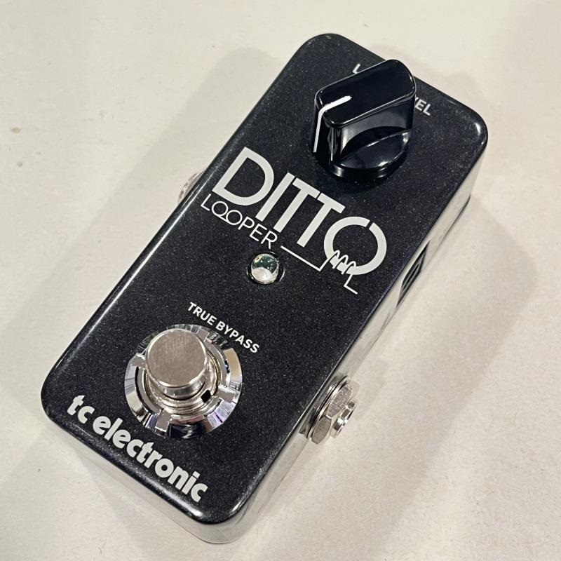 tc electronic USED 中古 DITTO LOOPER ルーパー
