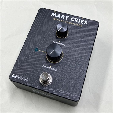P.R.S. 【GET STOMP本気バーゲン！】USED 中古 MARY CRIES