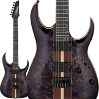 Premium RGA21P1PB-DRL (Deep Twilight Burst Low Gloss) [SPOT MODEL]