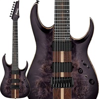 Premium RGA217P1PB-DRL (Deep Twilight Burst Low Gloss) [SPOT MODEL]