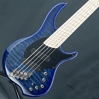 USED 中古 Combustion CC1 5st Quilt Maple Top (Indigoburst/Maple)
