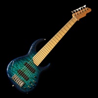 USED 中古 6-String Bass (Neck Replaced)