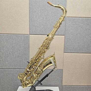 管楽器・吹奏楽器 Selmer Paris 商品一覧｜イケベ楽器店