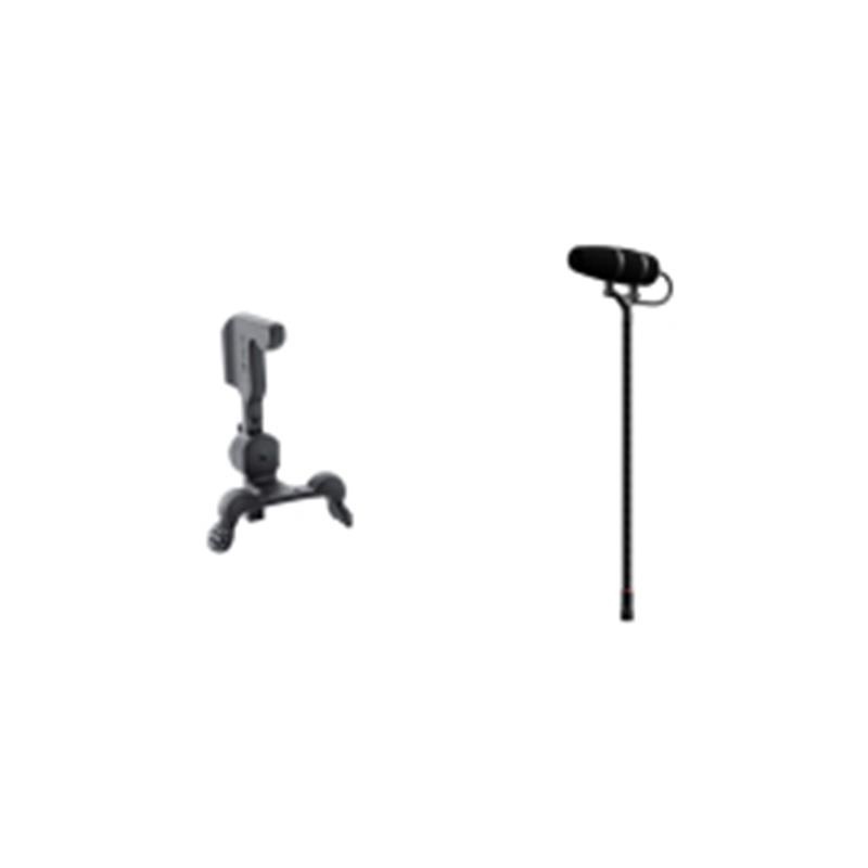 DPA 4099-DP-1-199-V バイオリンセット (ウクレレ＆三味線)(ディー